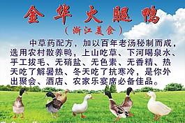 火腿鴨