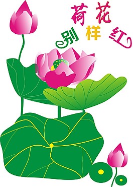 荷花背景圖