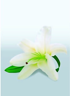 清新素雅花卉圖