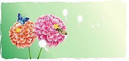 紅花粉花蝴蝶圖