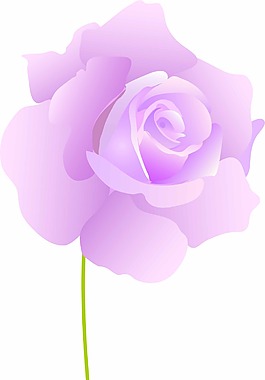 一支花矢量圖