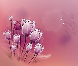 紫色郁金香花束
