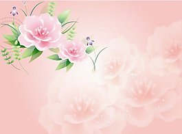 夢幻粉色花卉圖案設(shè)計(jì)