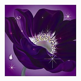 紫色魅惑花卉