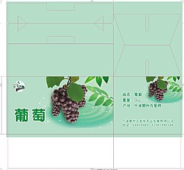 葡萄