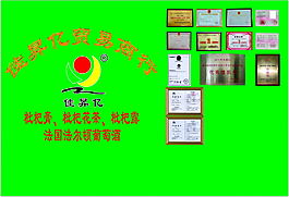 綠色主題 形像墻