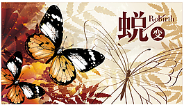 蛻變 蝴蝶
