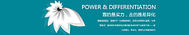 焦點宣傳圖banner