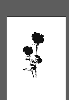 玫瑰花,