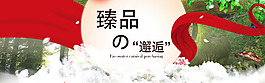 淘寶爆款推薦促銷海報(bào)