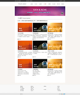 網(wǎng)站網(wǎng)頁(yè)設(shè)計(jì)模板