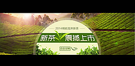 淘寶新茶模板