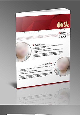 簡(jiǎn)約中國(guó)紅風(fēng)格畫(huà)冊(cè)
