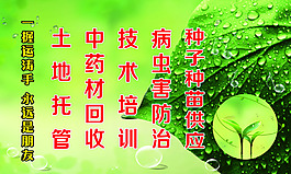 中藥材