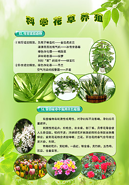 科學花草養殖