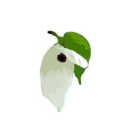 鴿子花矢量圖