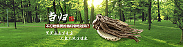 特產(chǎn)海報(bào)設(shè)計(jì)