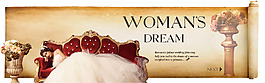 古典宮廷banner