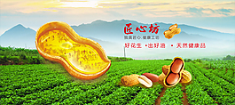 簡潔大氣花生油設計