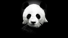 黑白熊猫个性壁纸背景