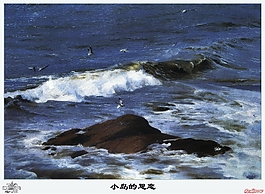 小鳥的思念