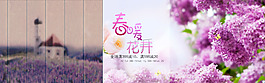 春暖花開PSD