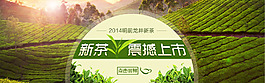 新茶上市