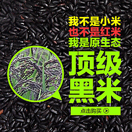 頂級黑米直通車推廣圖片
