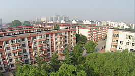 不同視角看家園