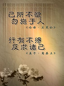 己所不欲