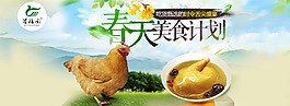 家禽網(wǎng)頁設(shè)計海報