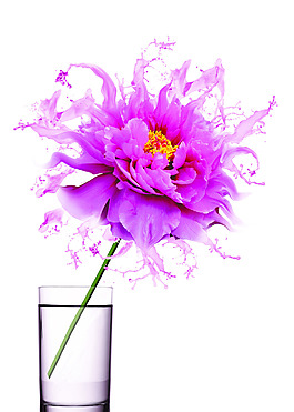 花