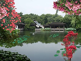 背景風(fēng)景