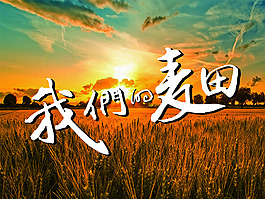 我們的麥田