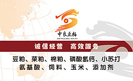 豆粕名片2