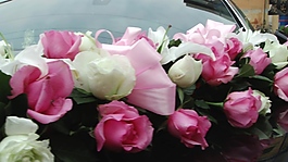 鮮花花車高清視頻