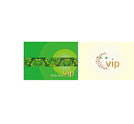 vip 卡