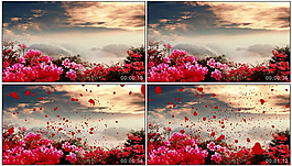 漫天映山紅背景