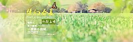 春季海报