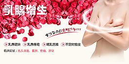 乳腺增生海报