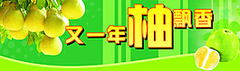 又一年柚飄香