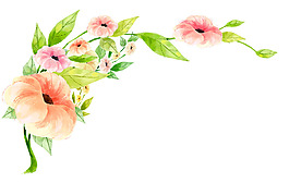 粉色手绘花