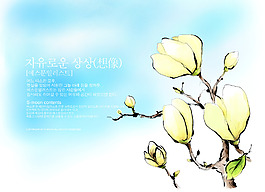 玉兰花背景
