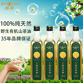 天貓?zhí)詫氈鲌D設(shè)計PSD下載