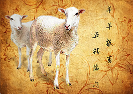 我为羊年