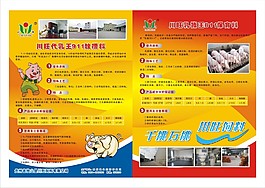 豬飼料DM單頁飼料行業(yè)宣傳資料