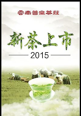 新茶上市