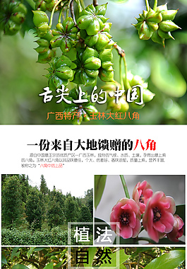 覽眾山大紅八角淘寶描述設(shè)計(jì)