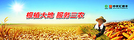 三農豐收展板