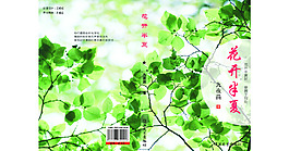 書籍設計